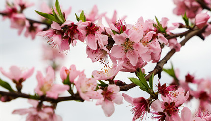 ����ʼ�����Ǿ��ݽ��������������ָ����ʲô