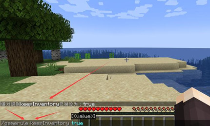 �ҵ���������������ָ����ʲô2026