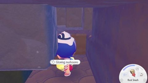 ������Pokopia��Ϣ��������ô����