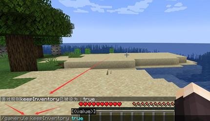 �ҵ����粻����ָ�������ʲô2026