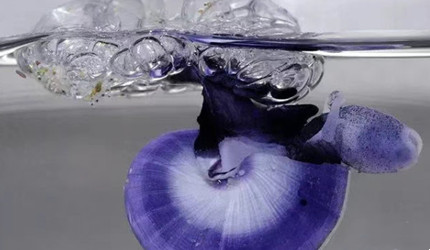 ���������������ں���Ư�����