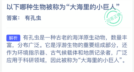 �����������ﱻ��Ϊ�����С����