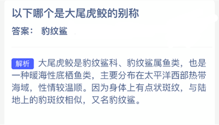 �����ĸ��Ǵ�β���޵ı��_2026֧�������溣����մ�3.20