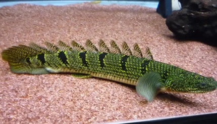 ������������������������׳ƣ�