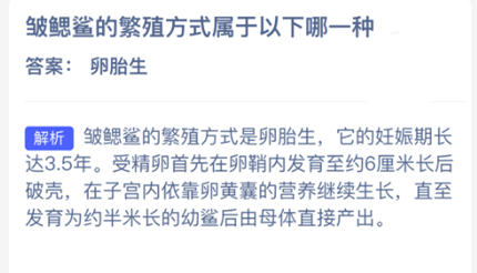 ������ķ�ֳ��ʽ����������һ��_2026֧�������溣����մ�3.25