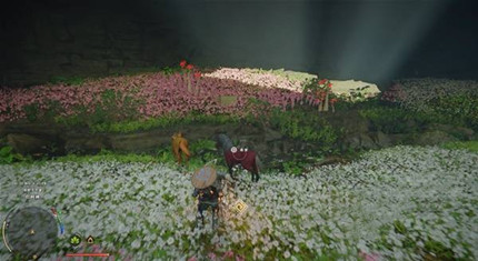 ��ɫɳĮ��˵��ƥ��ô���