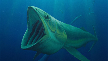 �粼����ָ���������������㣿