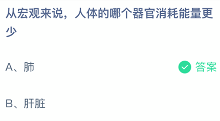 �Ӻ����˵��������ĸ�����������������_2026֧����ׯ԰С���ý��մ�3.31