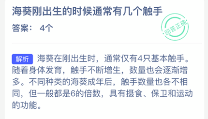 �����ճ�����ʱ��ͨ���м�������_2026֧�������溣����մ�3.31