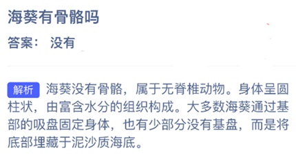 �����й�����_2026֧�������溣����մ�4.1