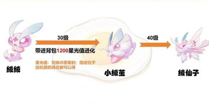 ����������羫�����ؽ�������һ��