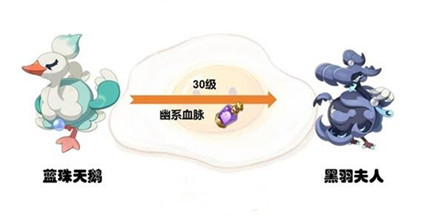 ����������羫�����ؽ�������һ��