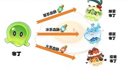 ����������羫�����ؽ�������һ��