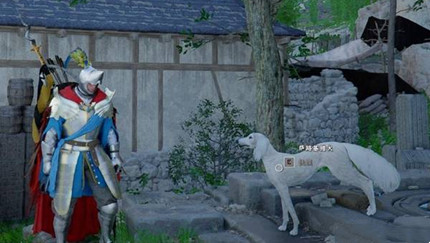 ��ɫɳĮ��·����Ȯ�������Ļ��