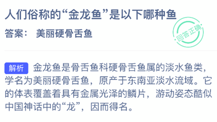 �����׳ƵĽ�����������������