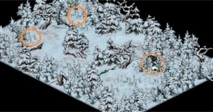 ���꽭��������컯����ô���