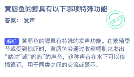 �ƴ�����ھ��������������⹦��