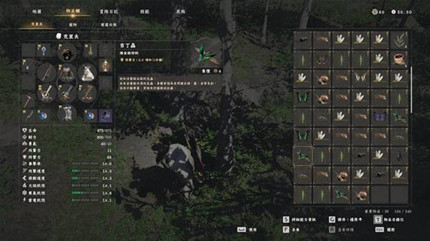 ��ɫɳĮ������������