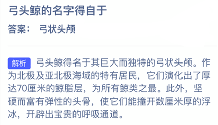 ��ͷ�������ֵ�����