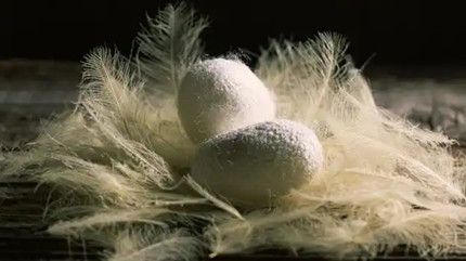 ���ϵ���˿�����еĴ���ͨ�����ĸ����ڿ�ʼ��ֳ