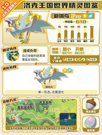 �������������ž���Ը�ѡʲô��