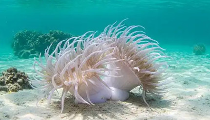 ������˯����