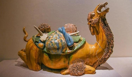 ���������������������͵Ĺ���Ʒ