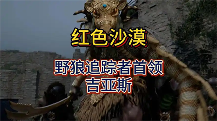 ��ɫɳĮҰ��׷����ͷ����ô���