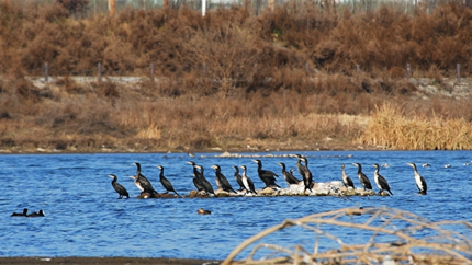 ȫ�����Ǩ��·�����м���·�ߴ�Խ�й�����