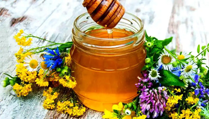 ���ۿ��Գ��ڱ��治�ױ������������������������