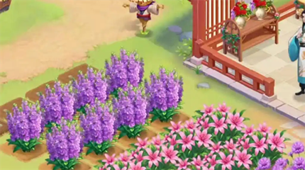 �ҵĻ�԰����������������ô���