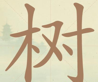 �������ְɵ�41�����ҳ�12����������ô��