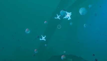 ��Ժ�2����ӫ���������